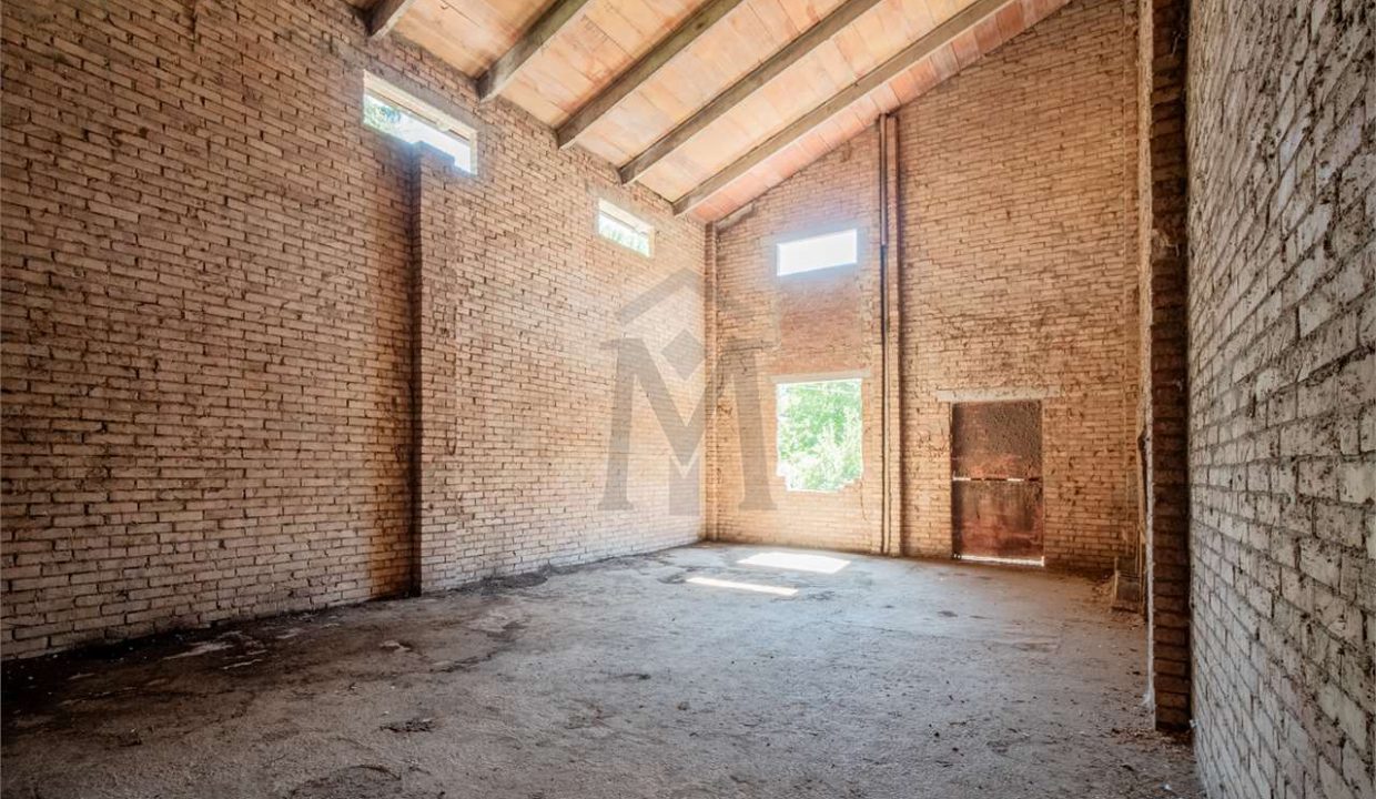 imm_43870-20250716174948-1280-