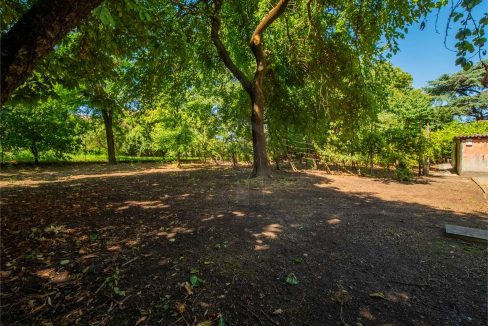 imm_43873-20250716174951-1280-