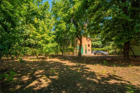 imm_43875-20250716174815-1280-