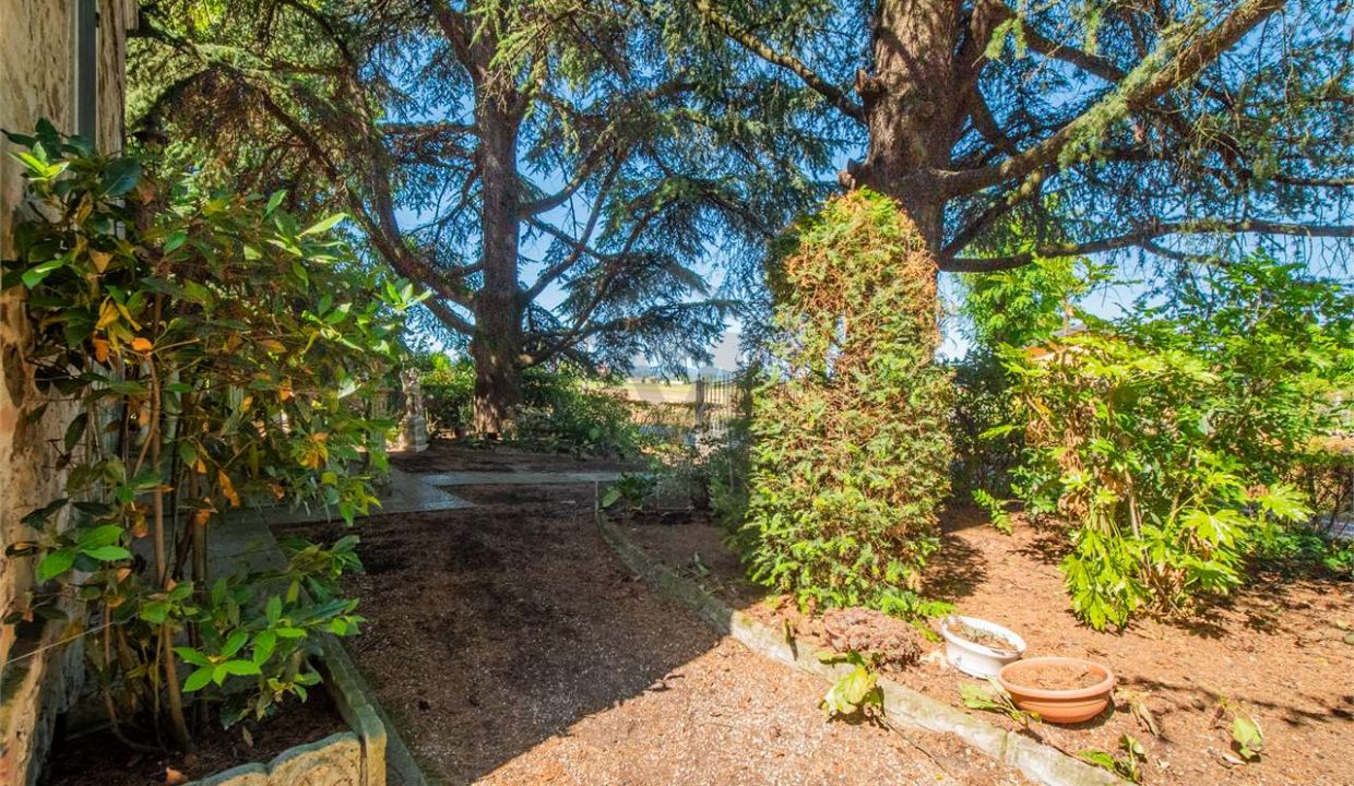 imm_43880-20250716173932-1280-