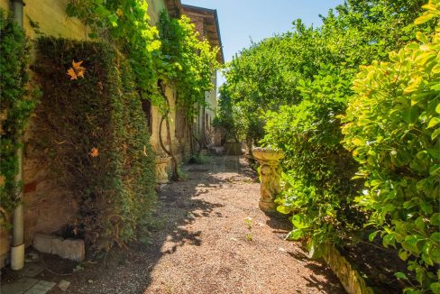 imm_43882-20250716173928-1280-