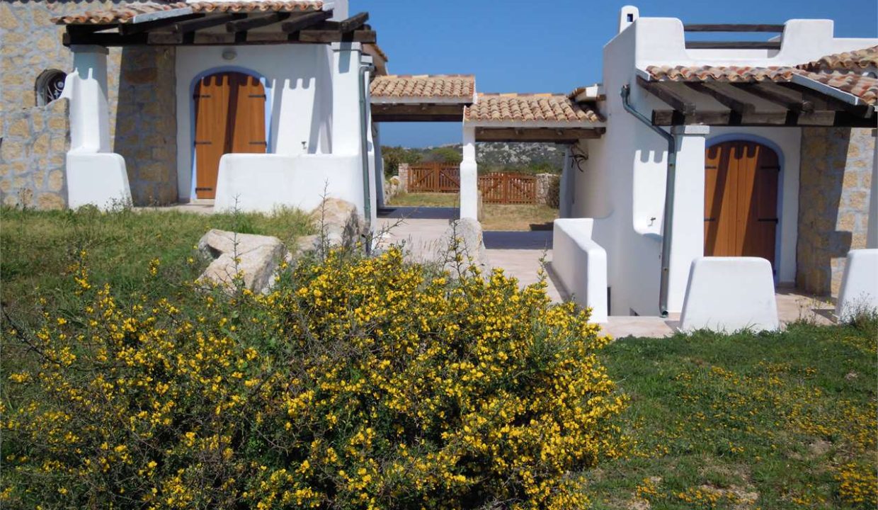 imm_44164-20250723185506-1280-