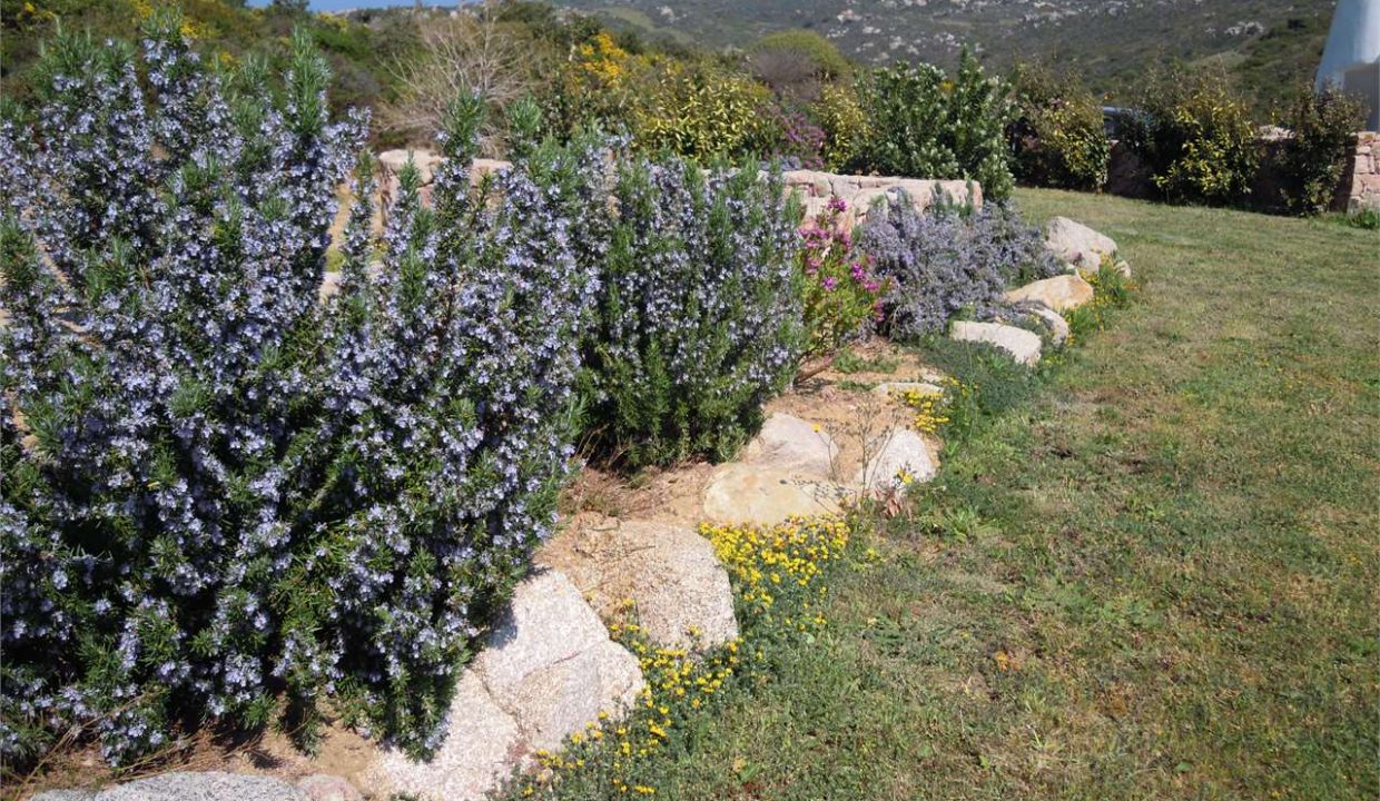 imm_44165-20250723185509-1280-