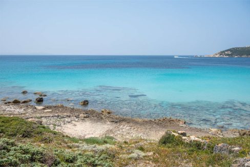 imm_44461-20250801170624-1280-