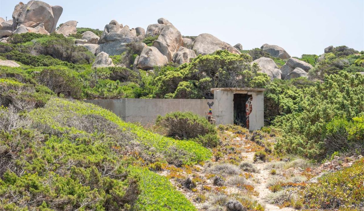 imm_44462-20250801170709-1280-