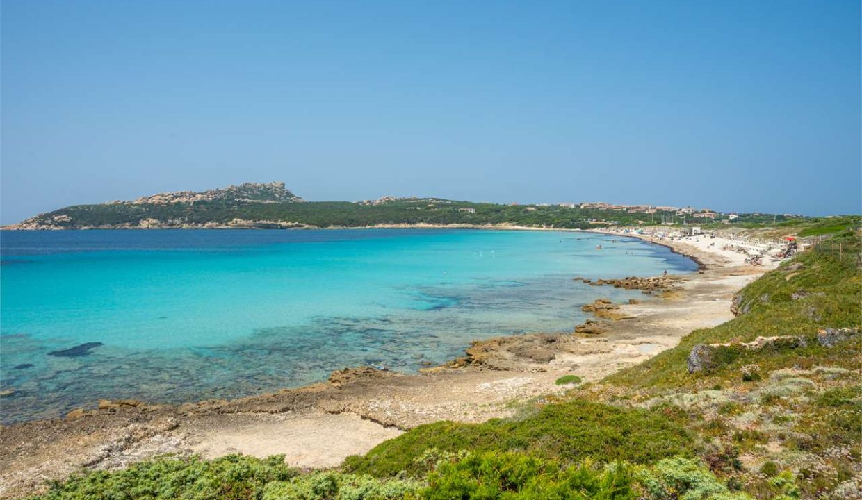 imm_44463-20250801170136-1280-