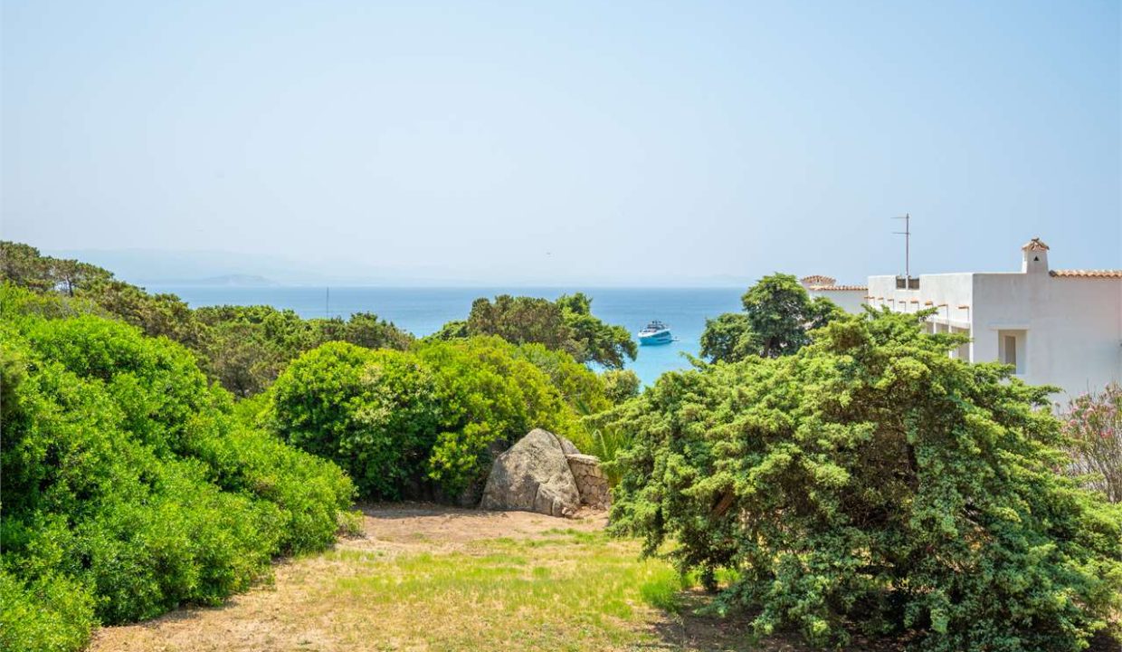 imm_44466-20250801170201-1280-