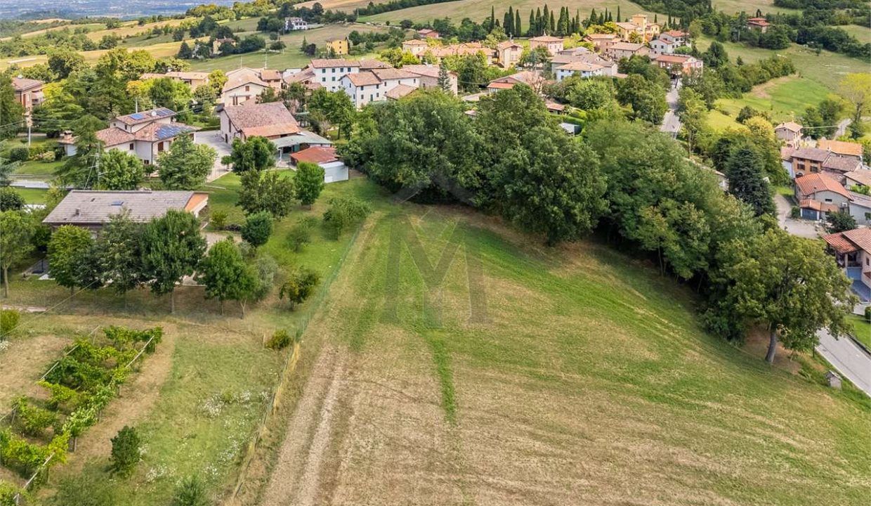 imm_44552-20250805171439-1280-