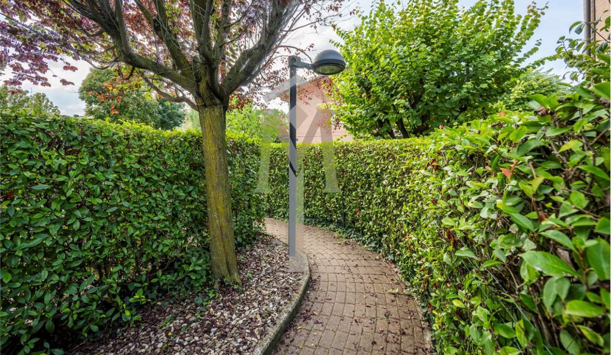 imm_44911-20250918182557-1280-