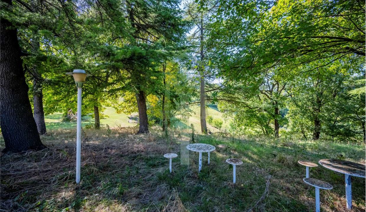 imm_45170-20250926174920-1280-