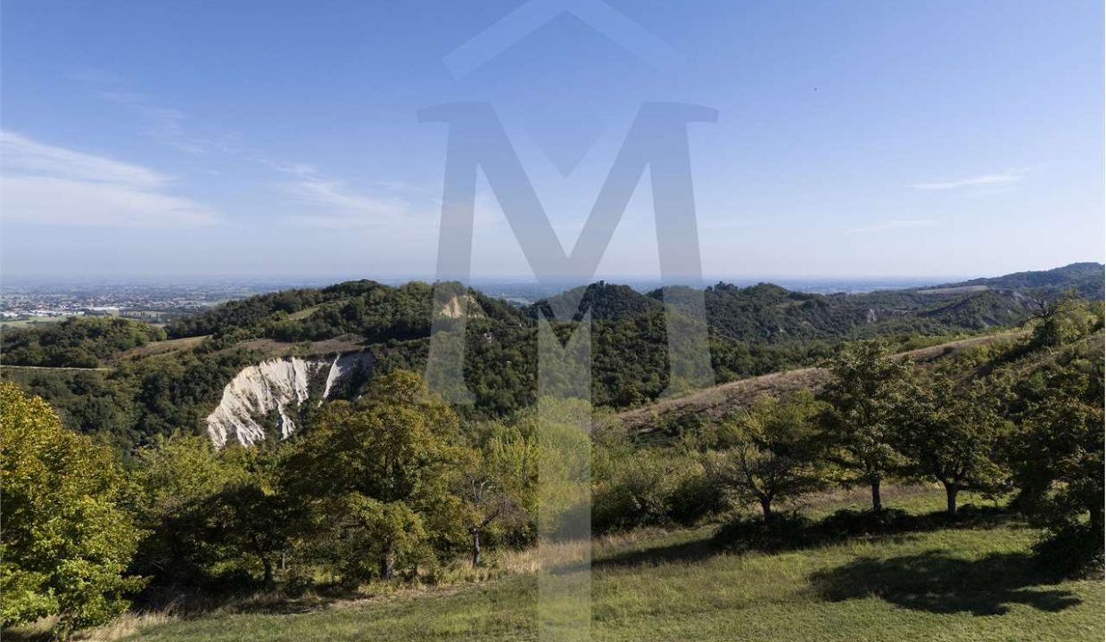 imm_45172-20250926175012-1280-