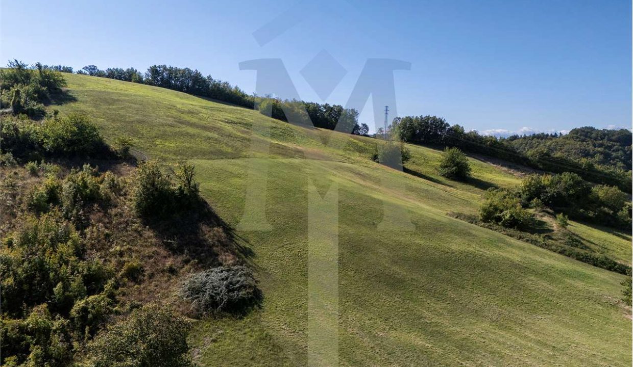 imm_45173-20250926174924-1280-