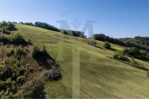 imm_45173-20250926174924-1280-