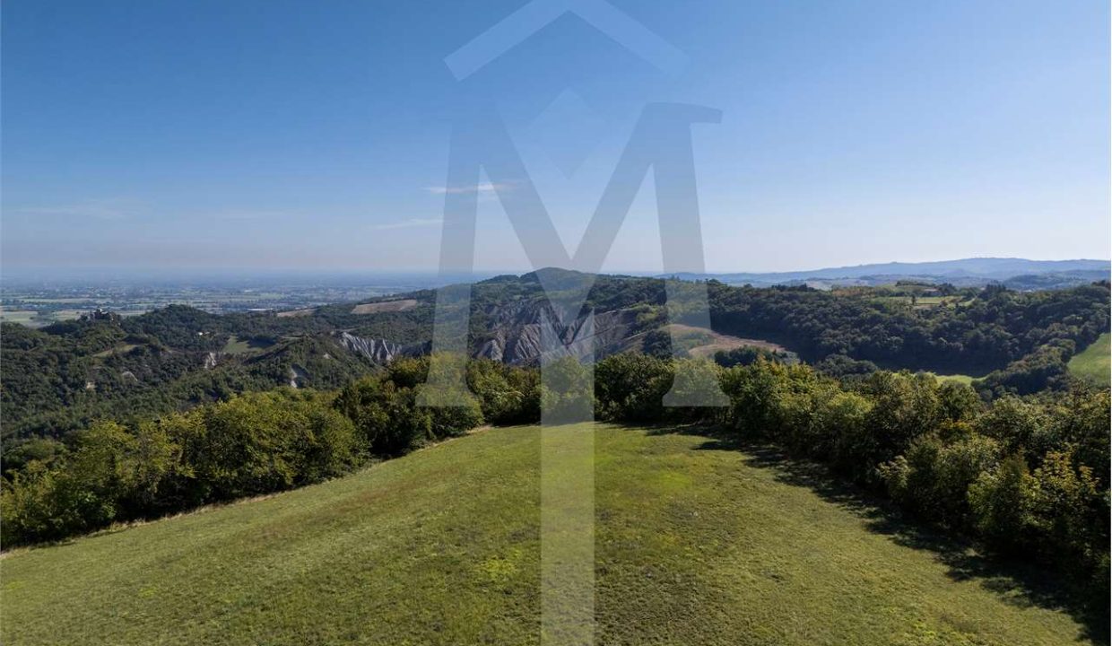 imm_45174-20250926174939-1280-