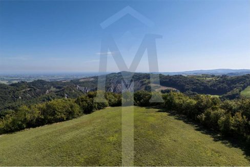 imm_45174-20250926174939-1280-