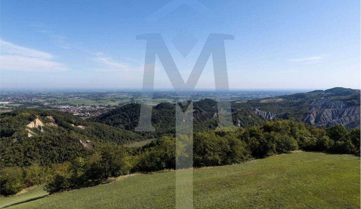 imm_45175-20250926175016-1280-