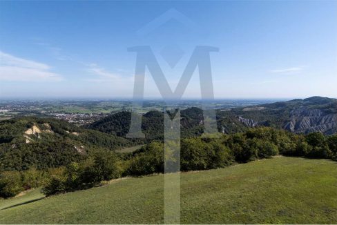 imm_45175-20250926175016-1280-