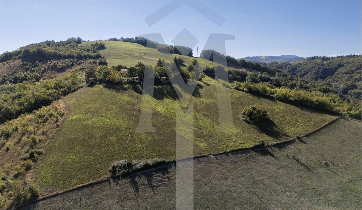 imm_45178-20250926174945-1280-