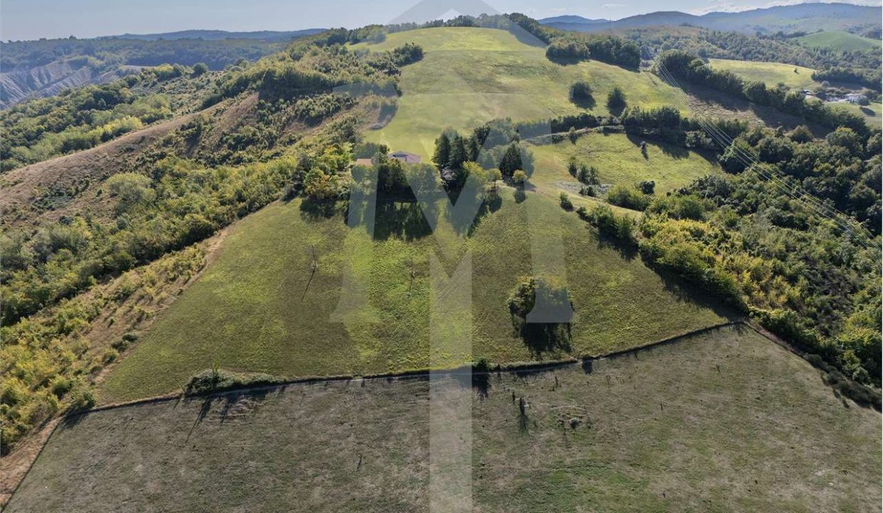 imm_45179-20250926175027-1280-