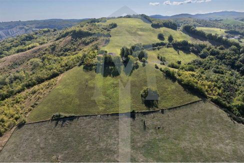 imm_45179-20250926175027-1280-