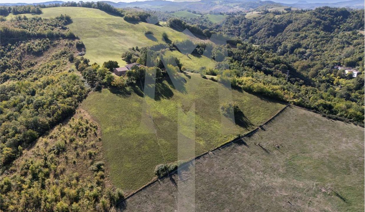 imm_45180-20250926175120-1280-