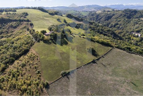 imm_45180-20250926175120-1280-