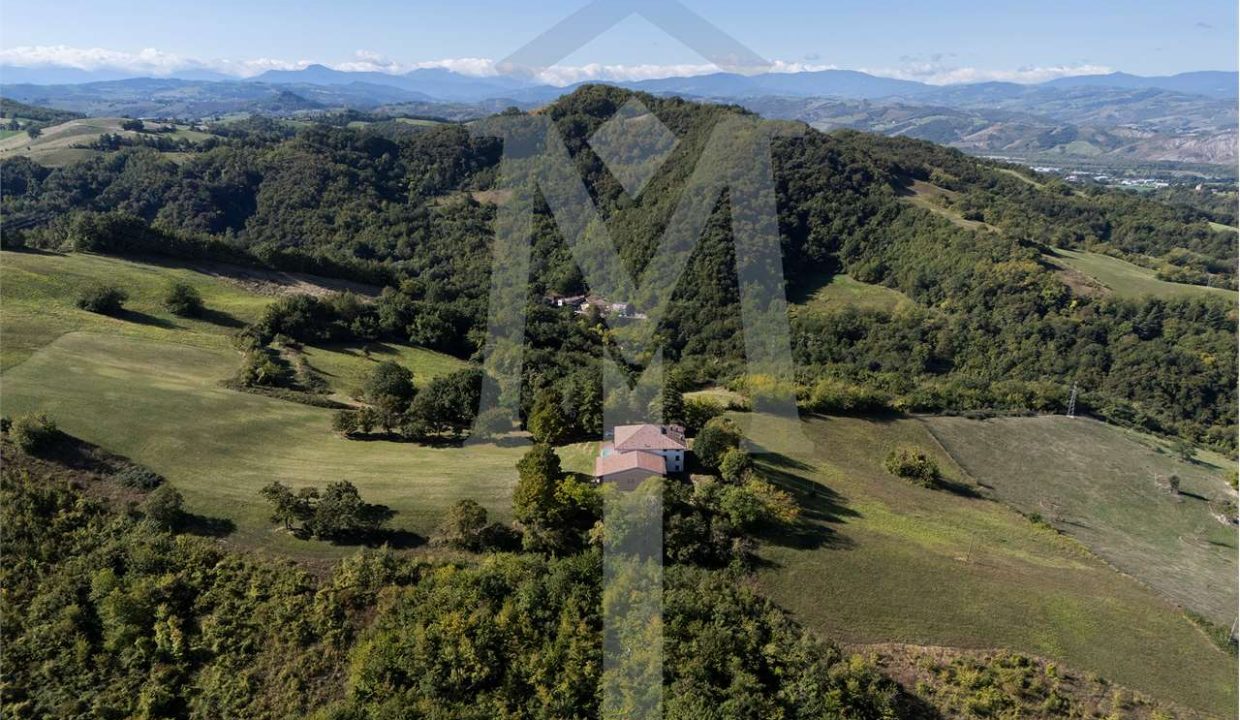 imm_45181-20250926175124-1280-