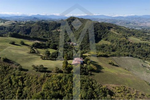 imm_45181-20250926175124-1280-