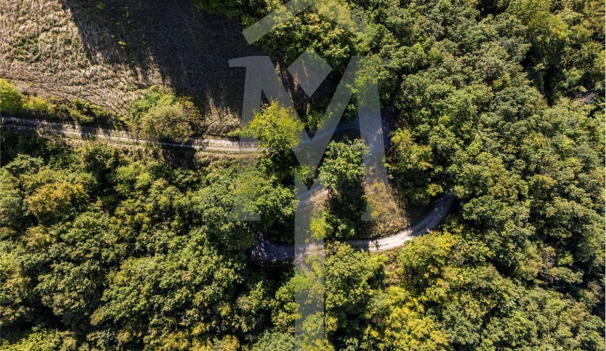 imm_45183-20250926175115-1280-