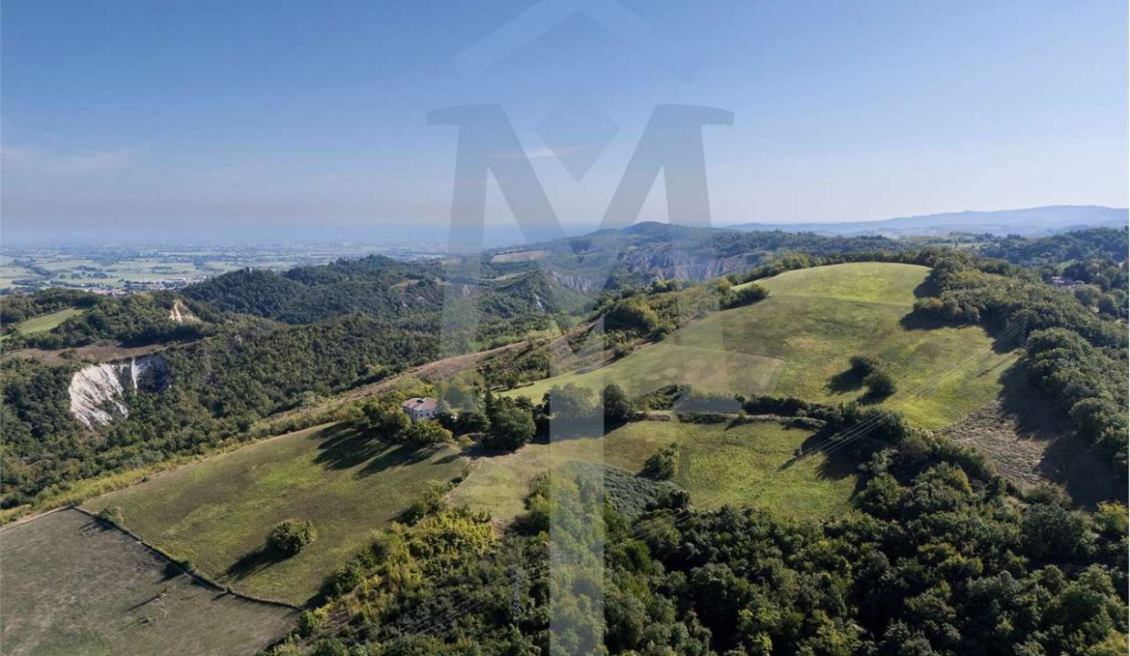 imm_45184-20250926175129-1280-