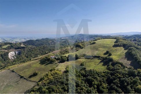 imm_45184-20250926175129-1280-