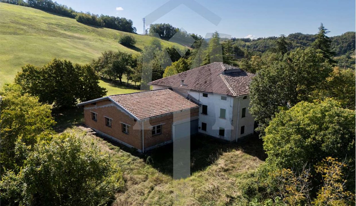 imm_45186-20250926174557-1280-