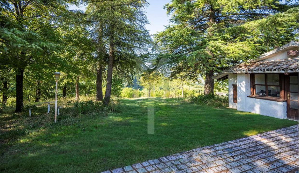 imm_45189-20250926175155-1280-