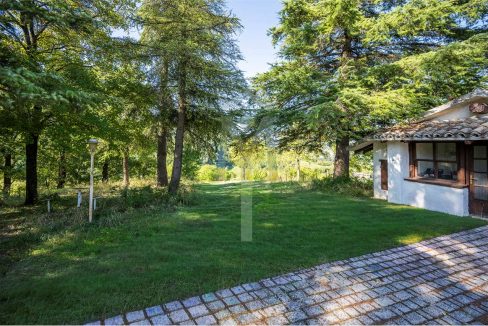 imm_45189-20250926175155-1280-