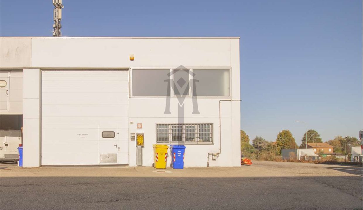 imm_45698-20251009162816-1280-