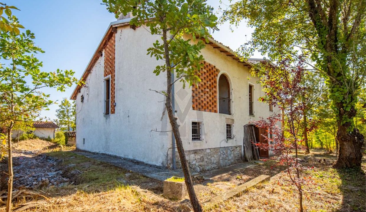 imm_45737-20251013100147-1280-