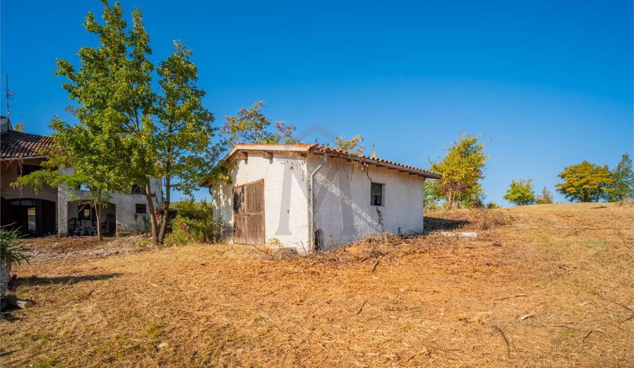 imm_45739-20251013100202-1280-