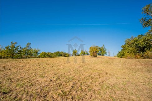 imm_45741-20251013100209-1280-