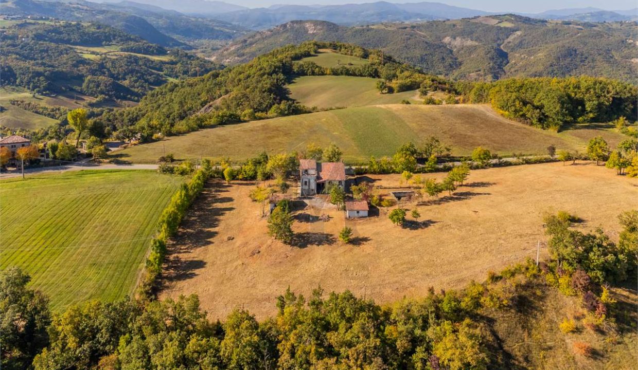 imm_45750-20251013100237-1280-