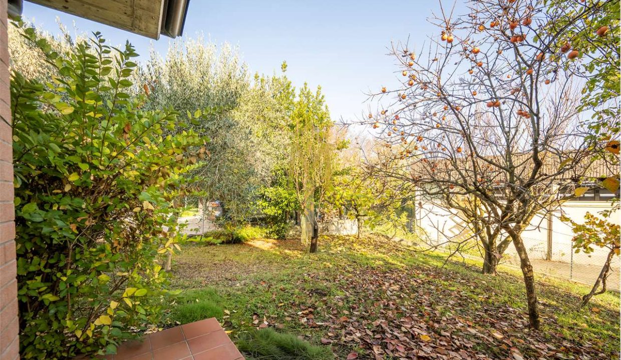 imm_46523-20251118163159-1280-