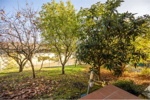 imm_46524-20251118163405-1280-