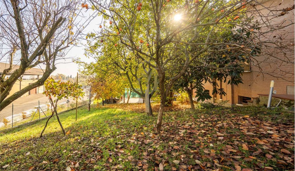 imm_46527-20251118163400-1280-