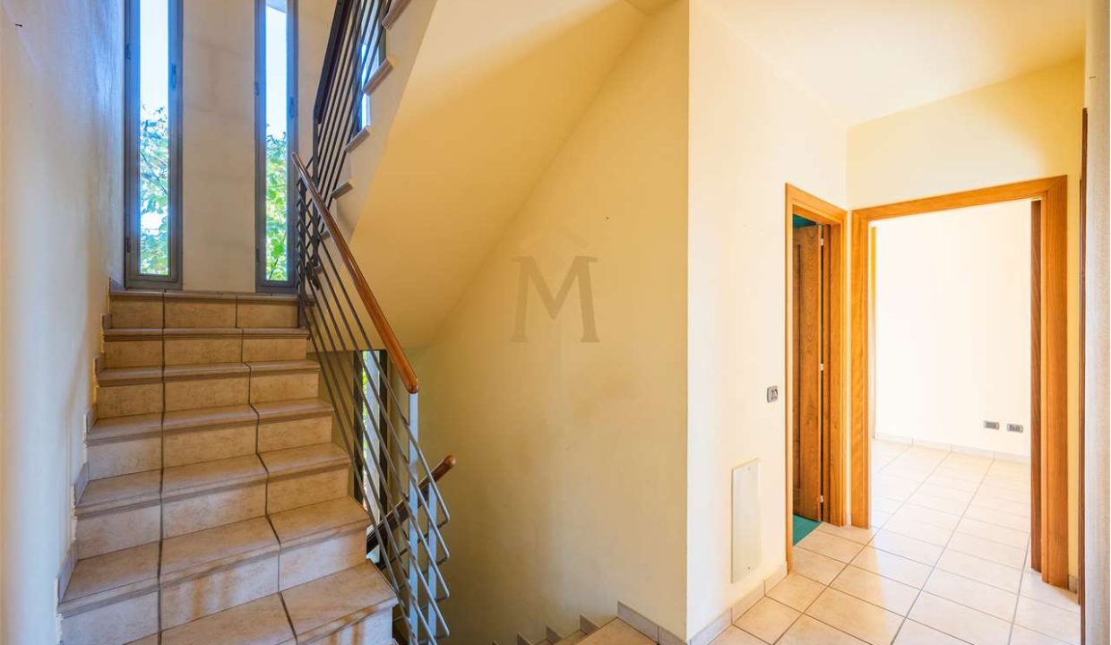 imm_46551-20251118160032-1280-