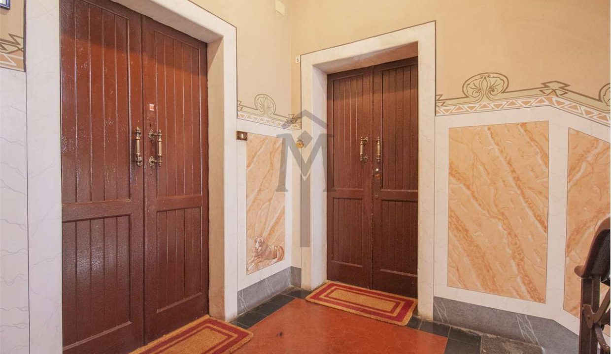 imm_47629-20260128111057-1280-