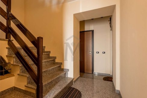 imm_47661-20260128161104-1280-