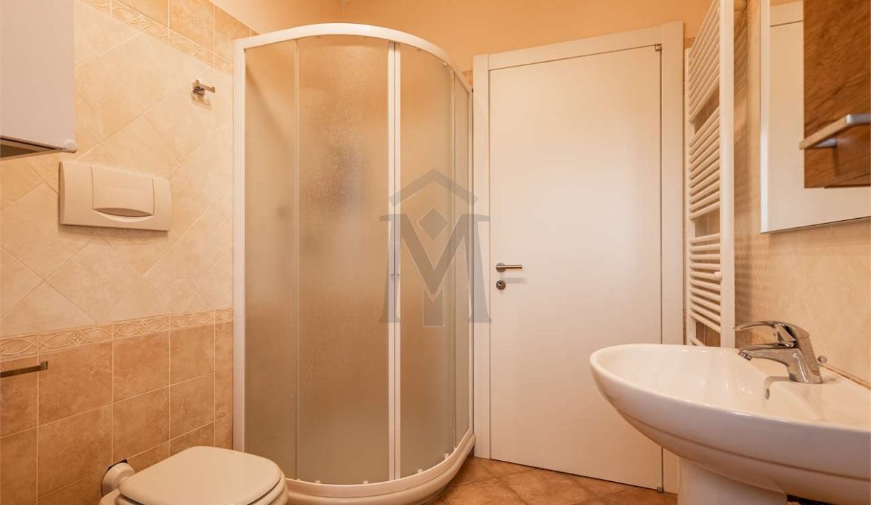 imm_47675-20260128161017-1280-