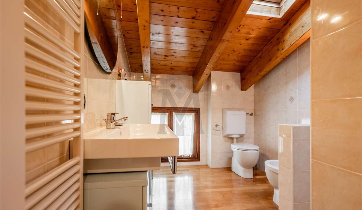 imm_47721-20260128173200-1280-