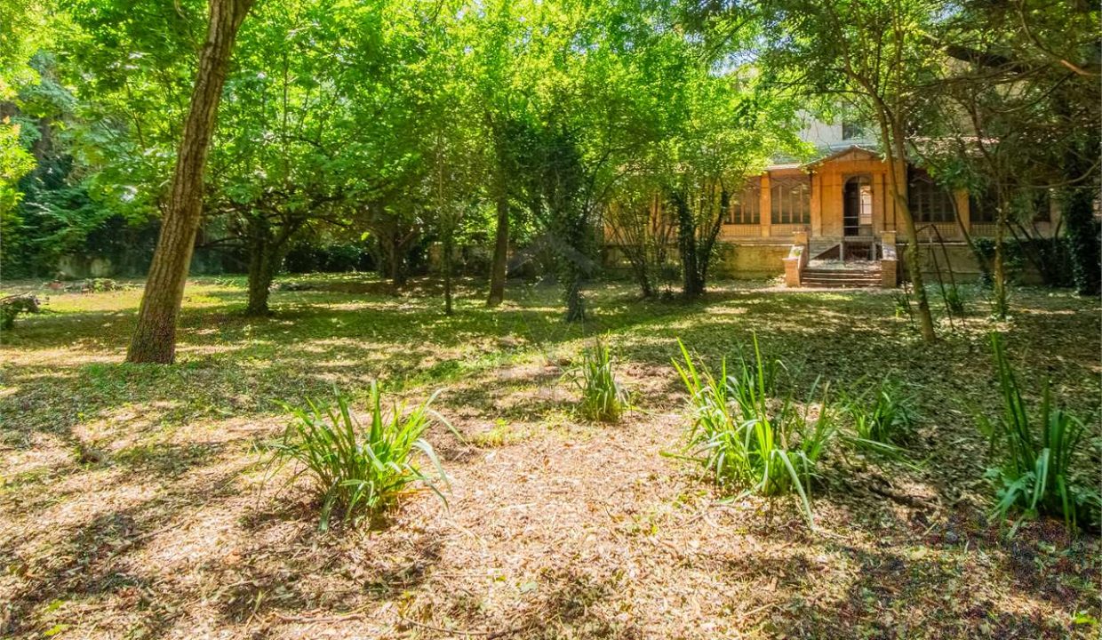 imm_36251-20250507182507-1280-