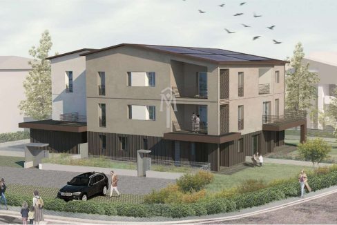 imm_40312-20250220123917-1280-