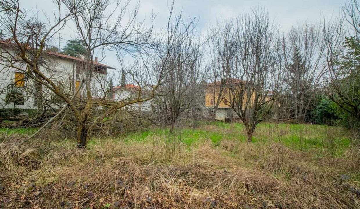 imm_40443-20250304091853-1280-